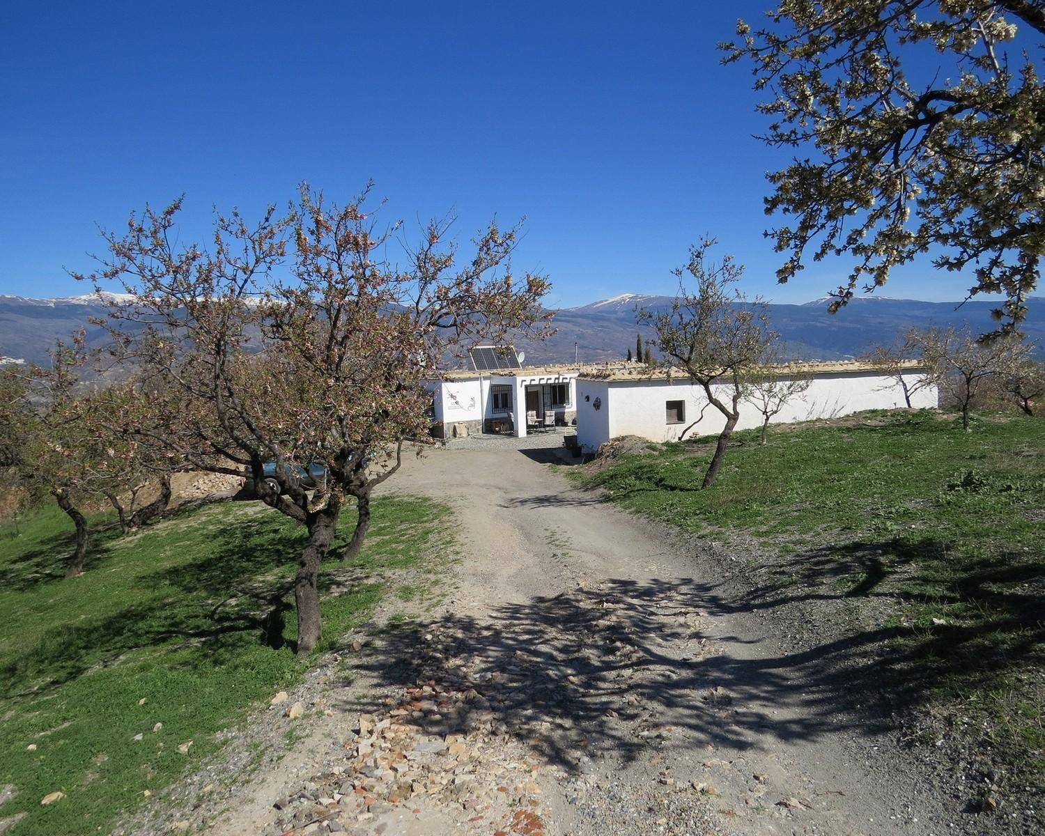 Spacious Cortijo & Separate Casita