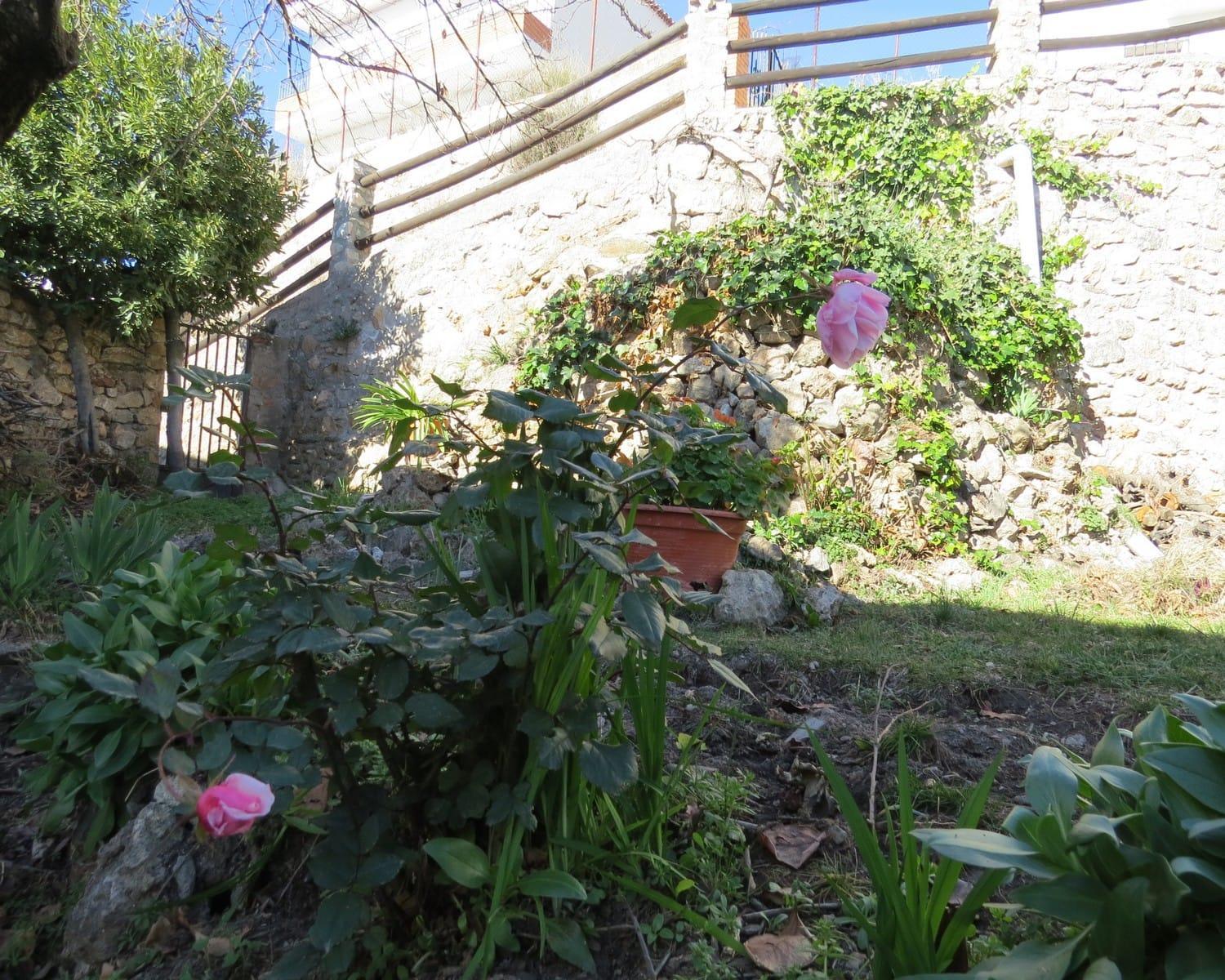 Village House, Garden and Salt Water Pool