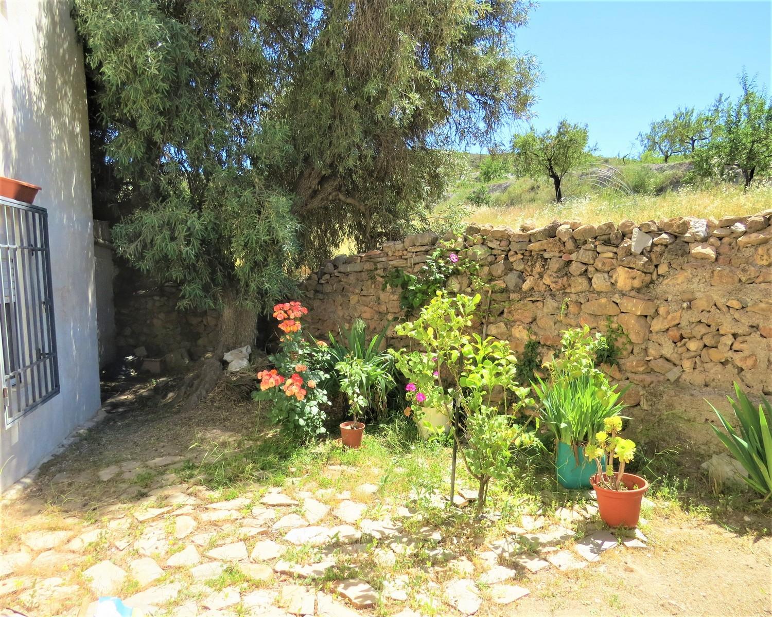 Town House with Garden and a Separate Plot of Land