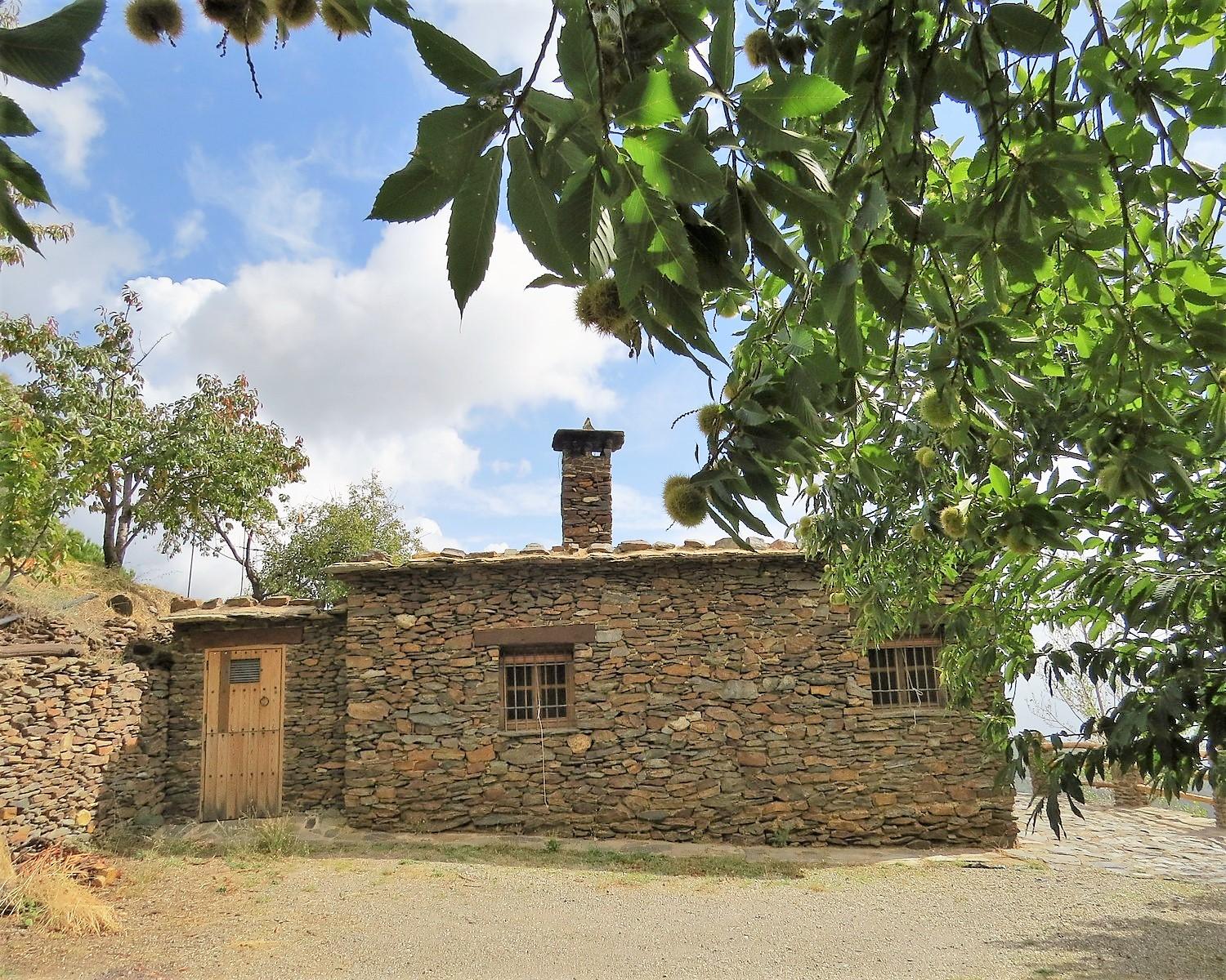 Remote Traditional Cortijo with Land